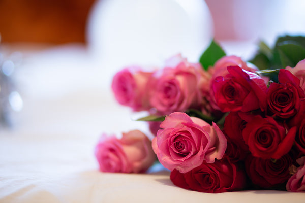 3 Best Valentine's Day Dates in Los Angeles
